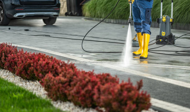 Best House Exterior Washing  in Palm Valley, TX